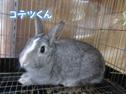 150404m.gif