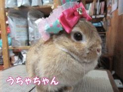 150405f1.gif
