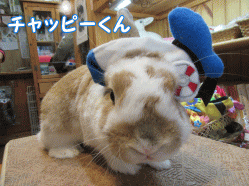 150405g1.gif
