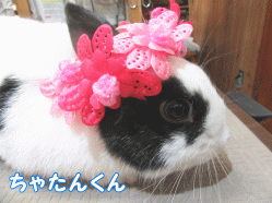 150405i1.gif