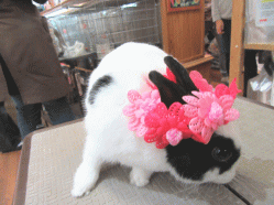 150405i2.gif