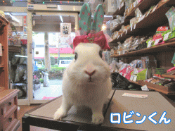 150405j1.gif