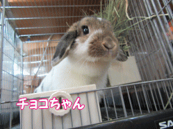 150406e.gif