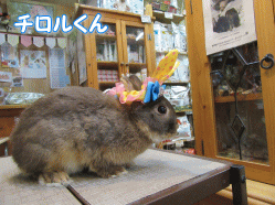 150407a.gif