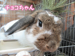 150407c.gif