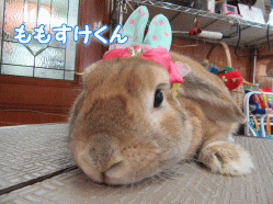 150409a.gif