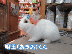 150409c.gif