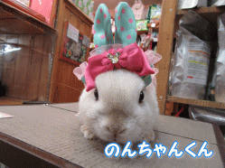 150409e.gif