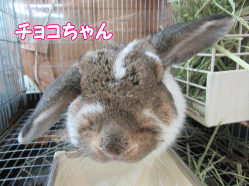 150409g.gif