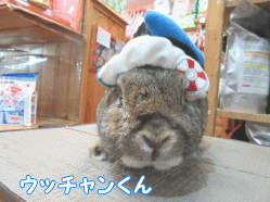 150410a1.gif