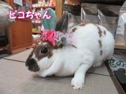 150411e.gif