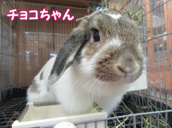 150414a.gif