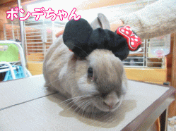 150414f.gif