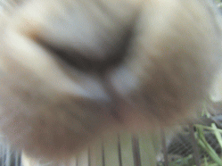 150415g2.gif