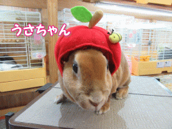150416c.gif