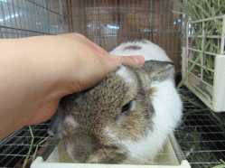 150416f.gif