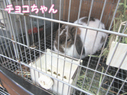 150417b1.gif
