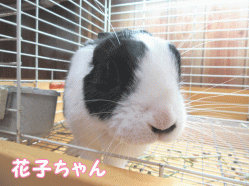 150417c1.gif
