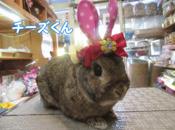 150418e.gif