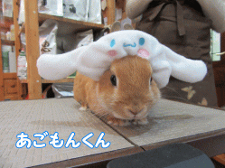 150418i.gif