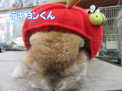 150418k.gif