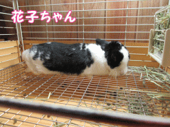 150419m.gif