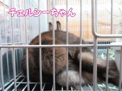 150420k.gif