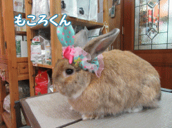 150423a.gif