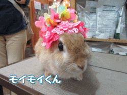 150423c.gif