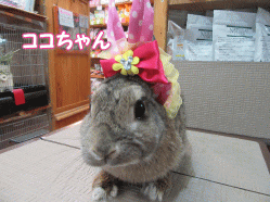 150423e.gif