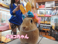 150423k.gif