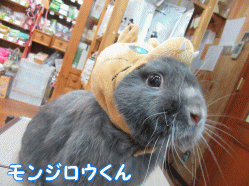150424b1.gif