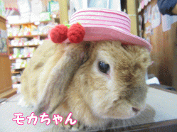 150424e1.gif