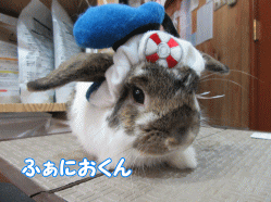 150425c.gif