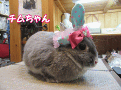 150425e.gif