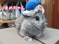 150425g.gif