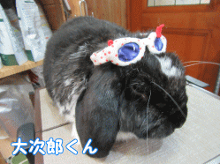 150426e.gif