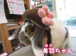 150426f.gif
