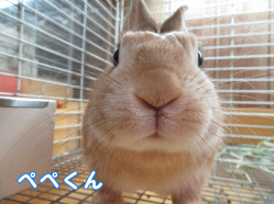 150426k.gif