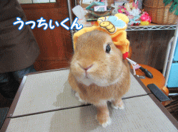 150427a.gif