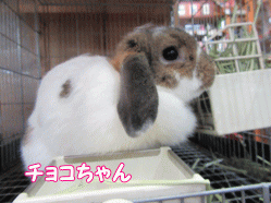 150427l.gif