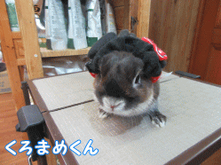 150429b1.gif