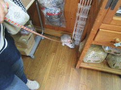 150429c2.gif