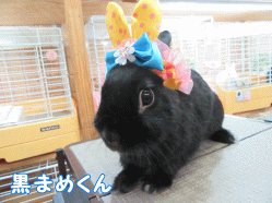 150429j1.gif