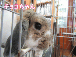 150429k1.gif