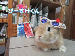 150430a.gif