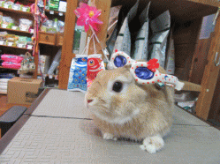 150430b.gif