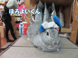 150430c.gif