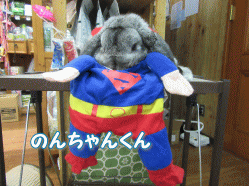 150430g.gif