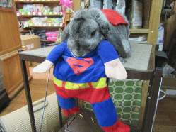 150430h.gif